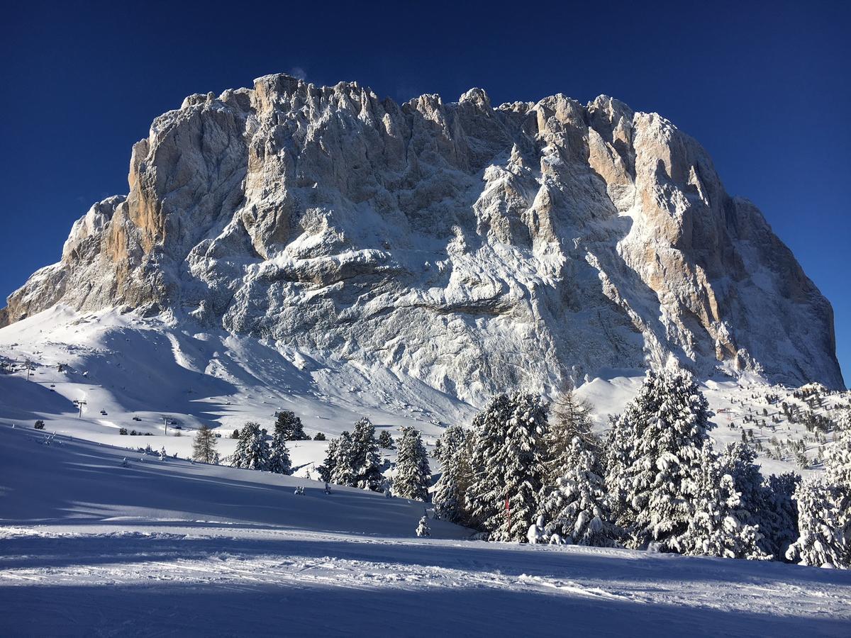 Hotel Piz Seteur Sëlva di Val Gardena Eksteriør billede